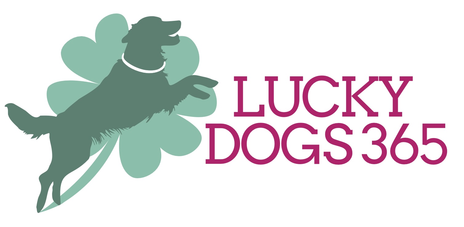 Hundeschule Luckydogs365
